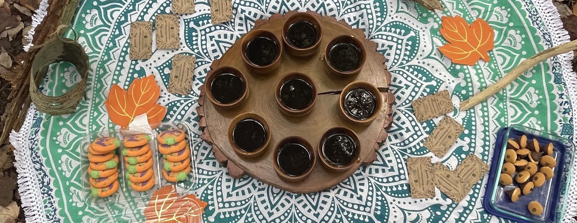 Forest Bathing with Maureen Stine